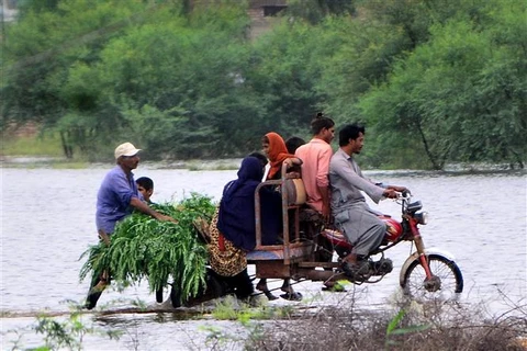 Người dân sơ tán khỏi vùng ngập lụt tại tỉnh Sindh (Pakistan), ngày 25/8/2022. (Ảnh: THX/TTXVN)