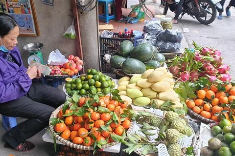 Một quầy bán hoa quả tại chợ Trại Găng, quận Hai Bà Trưng (Hà Nội) rất vắng khách. (Ảnh: Phương Anh/TTXVN)