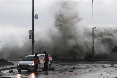 Mưa lớn và thủy triều do ảnh hưởng của bão Hinnamnor tại Busan (Hàn Quốc), ngày 6/9/2022. (Ảnh: Yonhap/TTXVN)