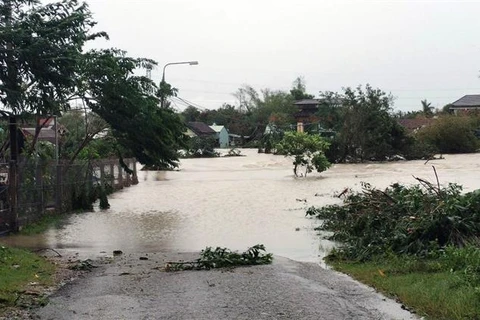 Nước lũ dâng cao do mưa lớn ở Quảng Nam. (Ảnh: Trần Tĩnh/TTXVN)