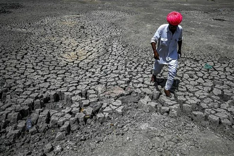 Lòng hồ khô cạn do hạn hán tại làng Bandai, huyện Pali (Ấn Độ), ngày 11/5/2022. (Ảnh: AFP/TTXVN)