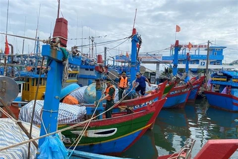 Lực lượng biên phòng Quảng Ngãi giúp ngư dân neo trú tàu thuyền phòng tránh bão những ngày qua. (Ảnh: Đinh Hương/TTXVN)