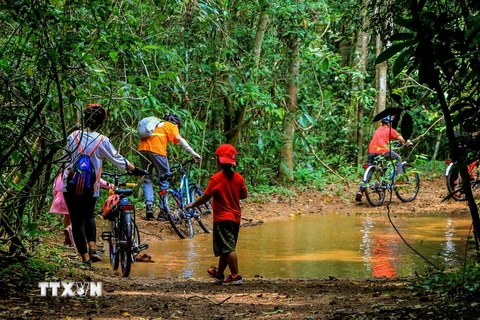 Đạp xe xuyên rừng nhiệt đới Mã Đà mang lại những trải nghiệp đặc biệt cho du khách. (Ảnh: Hồng Đạt/TTXVN)