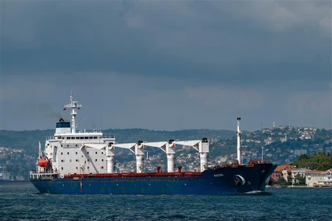 Tàu chở ngũ cốc của Ukraine di chuyển dọc Eo biển Bosphorus, ngày 3/8/2022. (Ảnh: AFP/TTXVN)