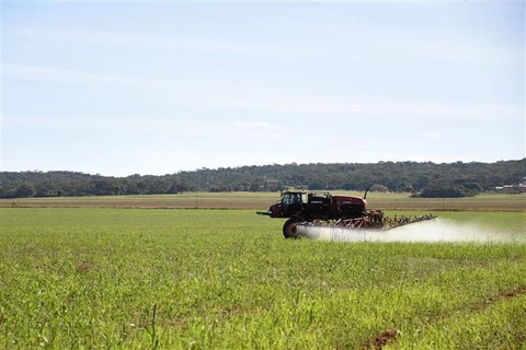 Máy kéo phun phân bón trên cánh đồng ở bang Goias (Brazil), ngày 19/5/2022. (Ảnh: AFP/TTXVN)