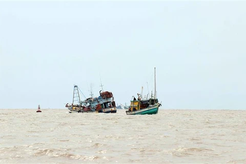 Bộ Nông nghiệp và Phát triển nông thôn kiến nghị Thủ tướng chỉ đạo chấm dứt tình trạng tàu cá khai thác bất hợp pháp ở vùng biển nước ngoài trước 31/3/2023. (Ảnh: Huỳnh Anh/TTXVN)