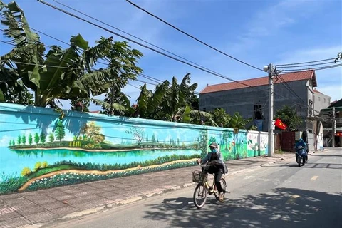 Con đường bích họa tại xã Lệ Chi, huyện Gia Lâm (Hà Nội). (Ảnh: Thúy Nga/TTXVN)
