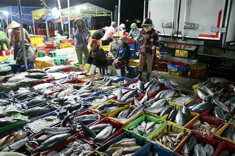Các loại các biển được bày bán tại cảng cá Đông Hải, thành phố Phan Rang-Tháp Chàm (Ninh Thuận). (Ảnh: Nguyễn Thành/TTXVN)