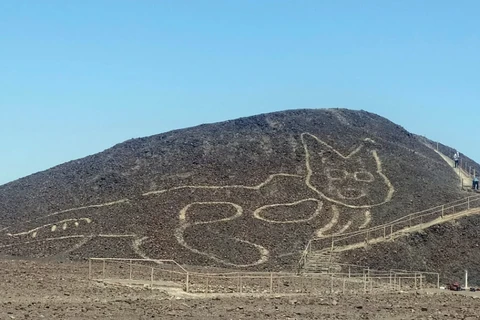 Hình vẽ một chú mèo trên triền đồi ở Nazca (Peru). (Nguồn: ARTnews)
