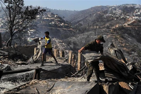 Nhiều ngôi nhà bị thiêu rụi trong vụ cháy rừng tại Viña del Mar (Chile), ngày 23/12/2022. (Ảnh: AFP/TTXVN)