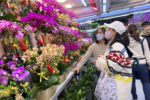 Người dân tham quan, mua sắm hoa tại chợ Mongkok. Ảnh: Vietnam+