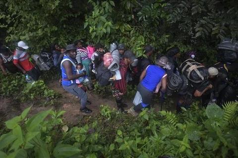 Người di cư Haiti băng qua rừng rậm Darien gần Acandi thuộc tỉnh Choco (Colombia) để sang Panama ngày 26/9/2021. (Ảnh: AFP/TTXVN)