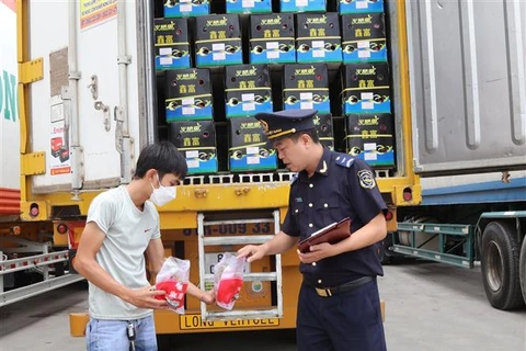 Hàng hóa nông sản xuất nhập nhập khẩu ra vào bãi xe cửa khẩu Tân Thanh (Lạng Sơn). (Ảnh: Quang Duy/TTXVN)