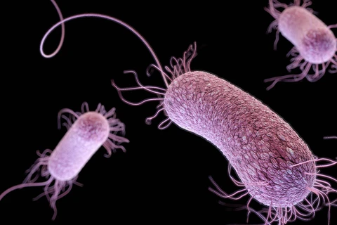 Khi tình trạng kháng thuốc kháng sinh trở thành mối lo ngại ngày càng lớn, siêu vi khuẩn cũng trở thành một rủi ro nghiêm trọng. (Ảnh minh họa: Reuters)