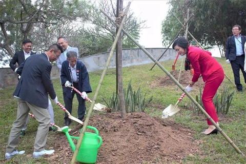 Các đại biểu trồng cây hoa anh đào tại Công viên Hòa Bình. (Ảnh: Nguyễn Cúc/TTXVN)