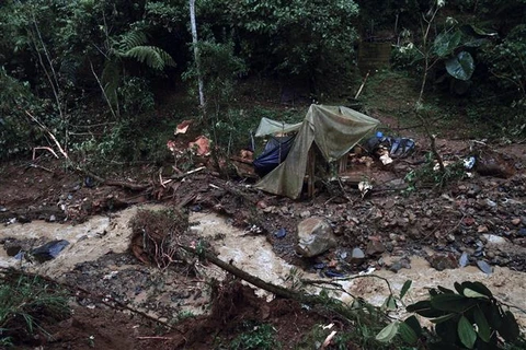 Ảnh minh họa. (Ảnh: AFP/TTXVN)