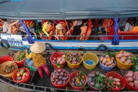 Thuyền bán trái cây cho khách tham quan chợ nổi Cái Răng (Cần Thơ). (Ảnh minh họa: Thanh Liêm/TTXVN)