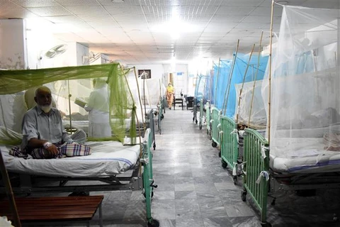 Bệnh nhân mắc sốt xuất huyết được điều trị tại bệnh viện ở Lahore (Pakistan), tháng 10/2022. (Ảnh: THX/TTXVN)