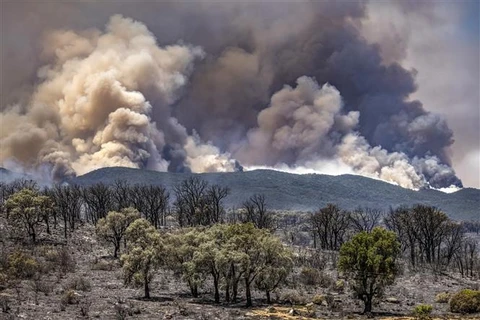 Khói bốc lên tại đám cháy rừng ở vùng Ksar Sghir, miền Bắc Maroc ngày 14/7/2022. (Ảnh: AFP/TTXVN)