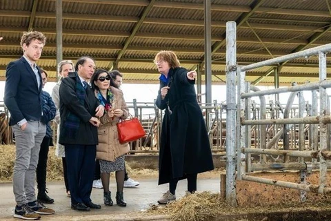 Đại sứ Phạm Việt Anh thăm một trang trại tại Thành phố Oss thuộc tỉnh Bắc Brabant (Hà Lan), tháng 3/2023. (Ảnh: TTXVN phát)