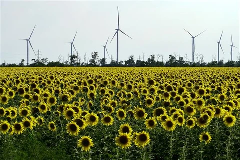 Các turbin điện ở gần Melitopol, vùng Zaporizhzhia (Ukraine). (Ảnh: AFP/TTXVN)