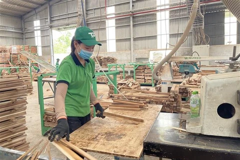 Hoạt động sản xuất tại Nhà máy sản xuất và chế biến gỗ Tiến Phong, Cam Lộ (Quảng Trị). (Ảnh: Thanh Thủy/TTXVN)
