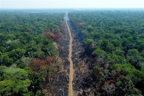 Khoảng rừng Amazon bị chặt phá tại Humaita, bang Amazonas (Brazil), ngày 16/9/2022. (Ảnh: AFP/TTXVN)