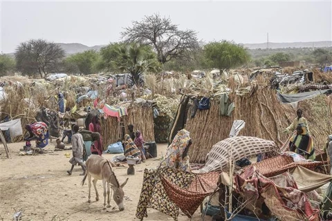 Người tị nạn Sudan dựng trại tạm tại Koufroun (Cộng hòa Chad), ngày 30/4/2023. (Ảnh: AFP/TTXVN)