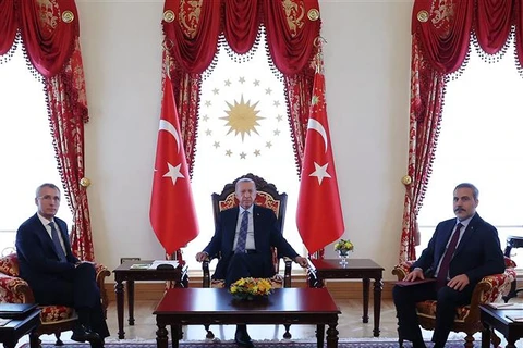 (Từ trái sang) Tổng Thư ký NATO Jens Stoltenberg, Tổng thống Thổ Nhĩ Kỳ Recep Tayyip Erdogan và Ngoại trưởng Thổ Nhĩ Kỳ Hakan Fidan tại cuộc gặp ở Istanbul ngày 4/6/2023. (Ảnh: AFP/TTXVN)