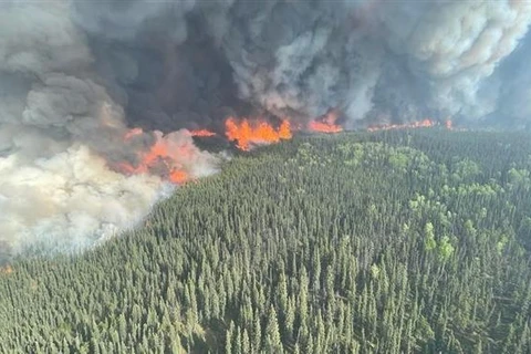 Khói bốc lên từ các đám cháy rừng ở British Columbia (Canada), ngày 9/6/2023. (Ảnh: THX/TTXVN)