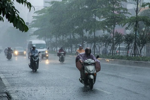 (Ảnh: Lê Minh Sơn/Vietnam+)