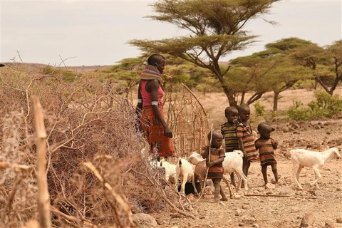 Phụ nữ và trẻ em tại khu vực chịu ảnh hưởng của hạn hán ở Loiyangalani, làng Parapul, Marsabit, miền bắc Kenya tháng 7/2022. (Ảnh: AFP/TTXVN)
