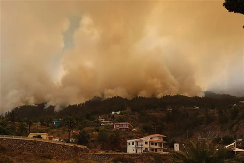 Khói bốc lên tại đám cháy rừng ở đảo La Palma (Tây Ban Nha) ngày 15/7/2023. (Ảnh: AFP/TTXVN)
