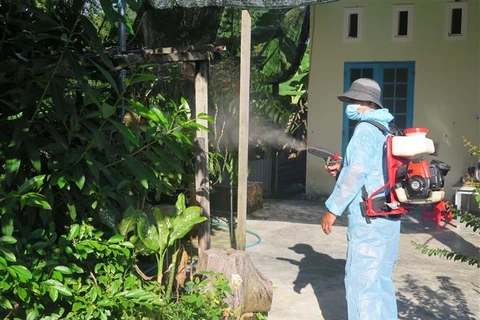Lực lượng y tế phun hóa chất diệt muỗi tại khu dân cư. (Ảnh: Dư Toán/TTXVN)