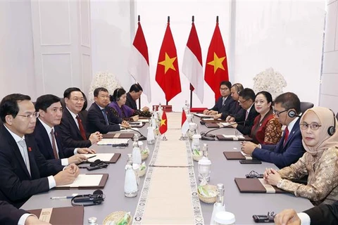 "Việt Nam là đối tác quan trọng chiến lược của Indonesia ở khu vực"