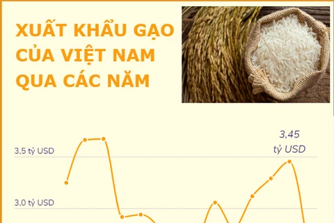 [Infographics] Giá trị xuất khẩu gạo của Việt Nam qua các năm