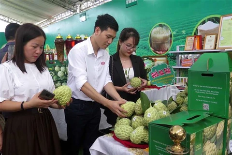 Du khách và đại diện các doanh nghiệp tham quan gian hàng trưng bày sản phẩm na Võ Nhai. (Ảnh: Trần Trang/TTXVN)