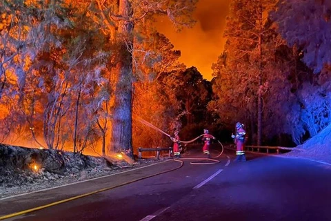 Lực lượng cứu hỏa nỗ lực dập lửa cháy rừng trên đảo Tenerife, thuộc Quần đảo Canary của Tây Ban Nha, ngày 17/8/2023. (Ảnh: AFP/TTXVN)