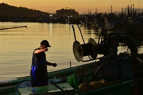 Ngư dân đánh cá tại cảng ở Soma, tỉnh Fukushima (Nhật Bản), ngày 24/8/2023. (Ảnh: Kyodo/TTXVN)