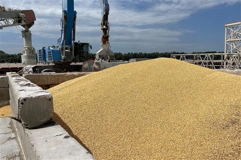Ngũ cốc được chất tại cảng biển Izmail, vùng Odesa (Ukraine) ngày 22/7/2023. (Ảnh: AFP/TTXVN)