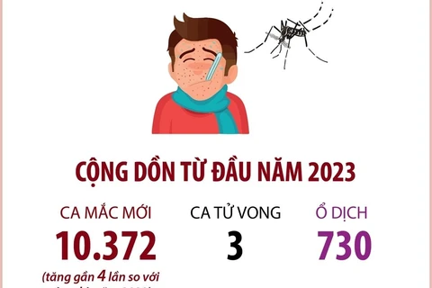 Số ca sốt xuất huyết tại Hà Nội tăng lên hơn 2.000 ca trong một tuần