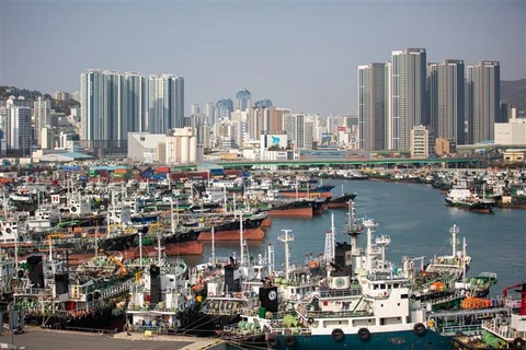Quang cảnh cảng Busan (Hàn Quốc). (Ảnh: THX/TTXVN)