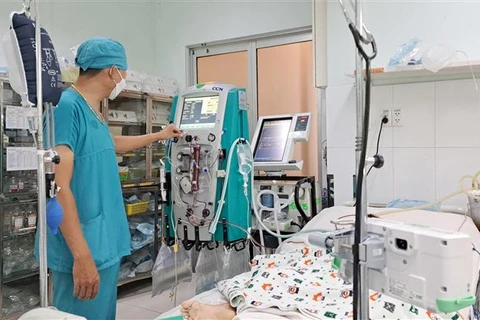 Một bệnh nhi mắc bệnh dại được điều trị tích cực tại Bệnh viện Nhi đồng 2 Thành phố Hồ Chí Minh. (Ảnh: TTXVN phát)