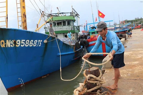 Ngư dân Quảng Ngãi neo buộc tàu thuyền tránh trú áp thấp nhiệt đới, tháng 9/2023. (Ảnh: Đinh Hương/TTXVN)