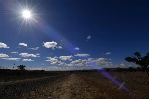 Nắng nóng gay gắt tại bang New South Wales (Australia), tháng 3/2023. (Ảnh: AFP/TTXVN)
