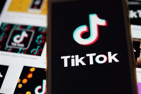 EU đã công bố mở các cuộc điều tra đối với TikTok và YouTube(Ảnh: THX/TTXVN)