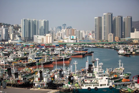 Cảng hàng hóa ở Busan (Hàn Quốc). (Ảnh: THX/TTXVN)