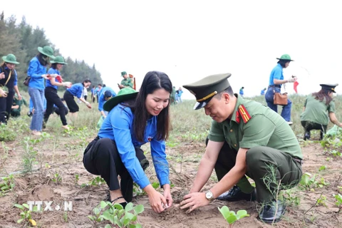 Đoàn viên, thanh niên Thông tấn xã Việt Nam và các đơn vị tham gia trồng cây. (Ảnh: Minh Đức/TTXVN)