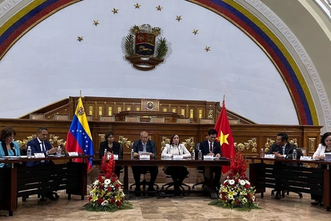 Đoàn Đại biểu Hội đồng Dân tộc của Quốc hội làm việc với Bộ các Dân tộc Bản địa Venezuela, tháng 8/2023. (Ảnh: TTXVN phát)