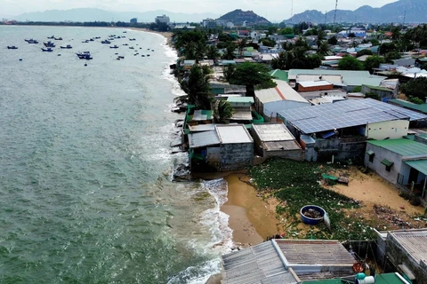 Tuyến bờ biển khu phố Ninh Chữ 1 (thị trấn Khánh Hải, huyện Ninh Hải) có chiều dài khoảng 600m đang bị ảnh hưởng trực tiếp bởi sóng biển xâm thực mạnh. (Ảnh: Nguyễn Thành/TTXVN)